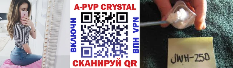 Купить где  Балтийск  A PVP СК КРИС 