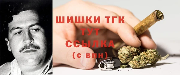 ECSTASY Магас
