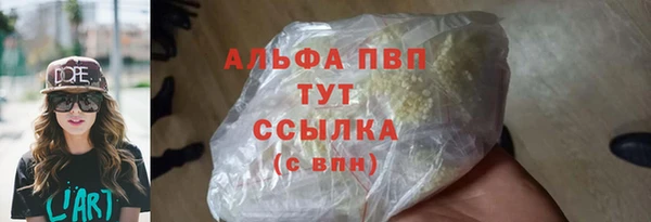 ECSTASY Магас