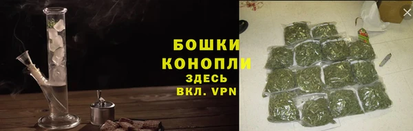 ECSTASY Магас