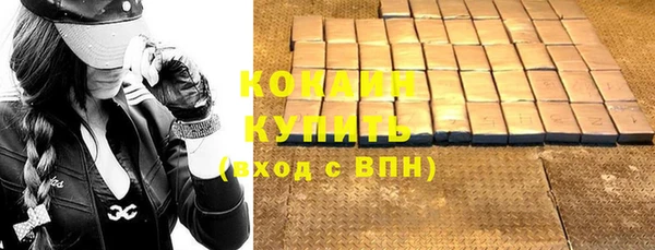 крисы Майский