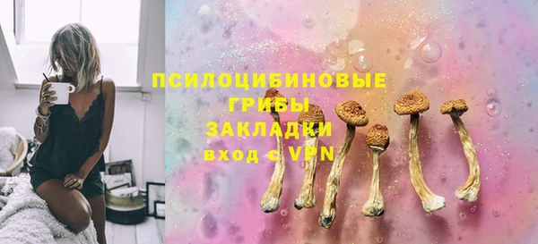 крисы Майский