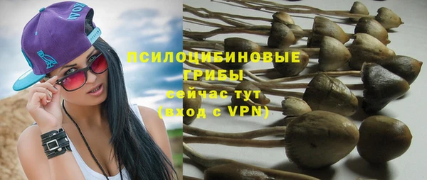 крисы Майский