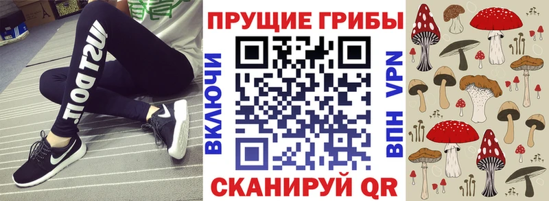 Псилоцибиновые грибы MAGIC MUSHROOMS  Купить  Балтийск 
